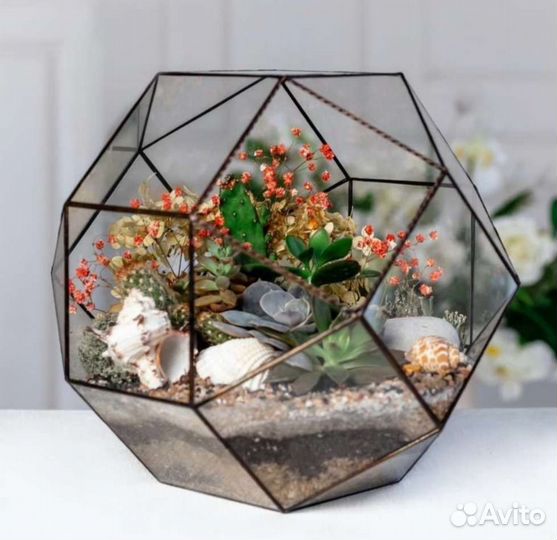 Флорариум суккуленты