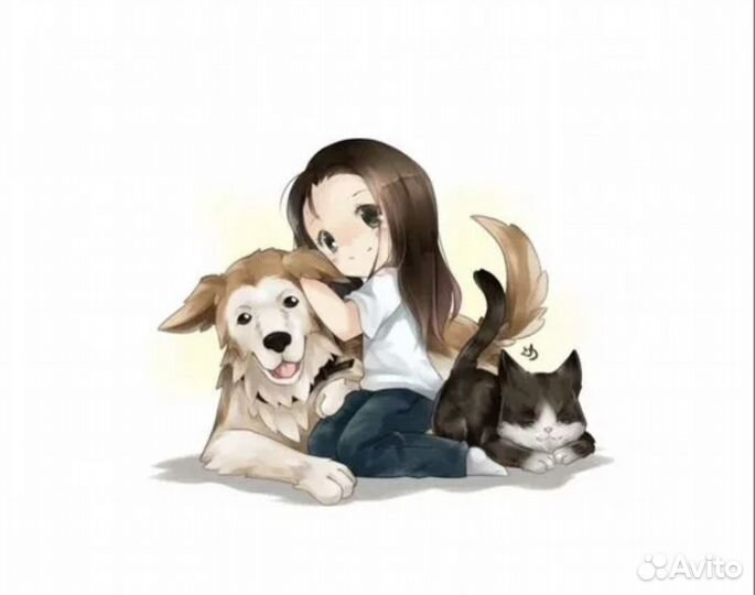 Пиар животных