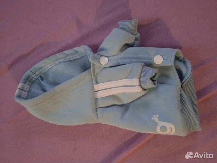 Одежда для собак