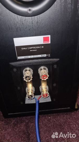 Dali opticon 8