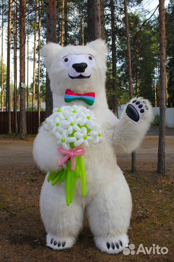 Поздравление от Карельского Мишки и Кота Учёного