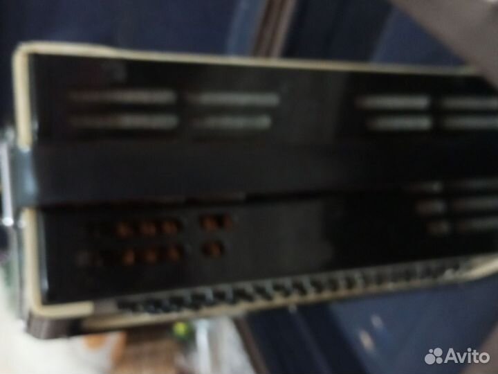 Баян вологодский