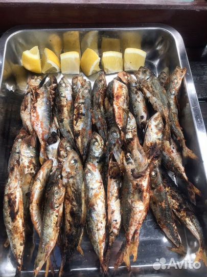 Морская рыбалка Кудепста