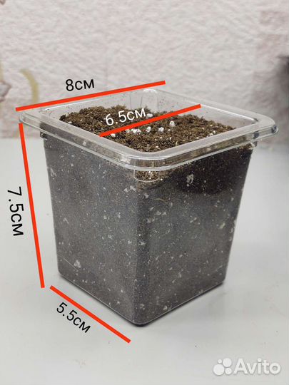 Торф Profi mix, стаканчики и зажимы для растений