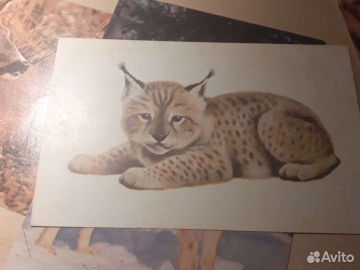 Набор открыток 78- 85гг