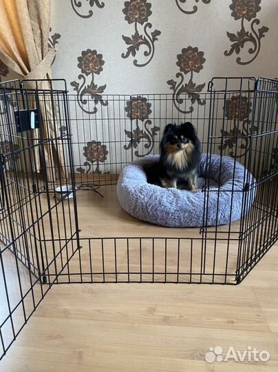 Вольер для собак