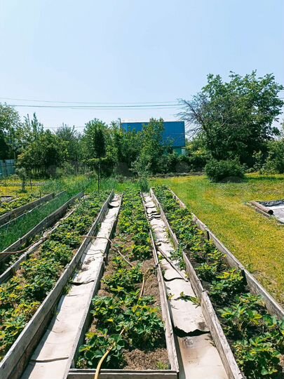 Дом 60 м² на участке 13 сот.