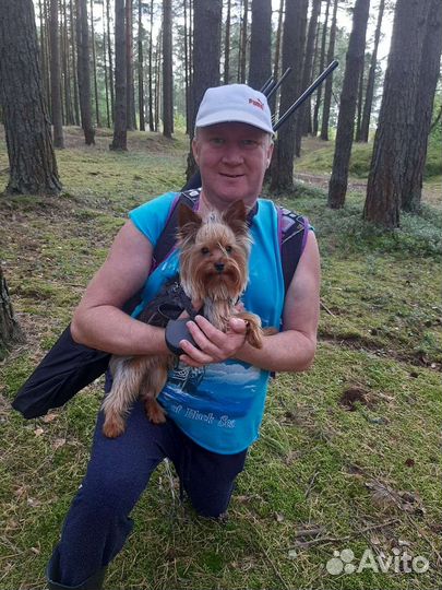 Выгул собак