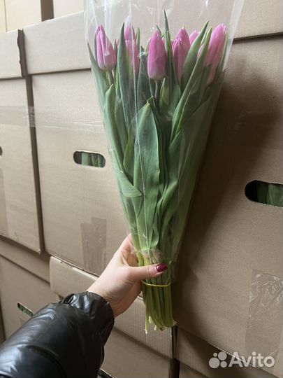 Тюльпаны опт розница корпоративные заказы