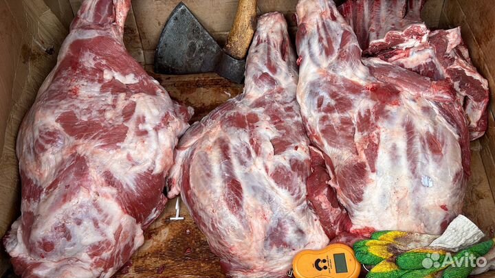 Мясо домашнее