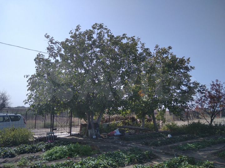 Участок 8 сот. (СНТ, ДНП)