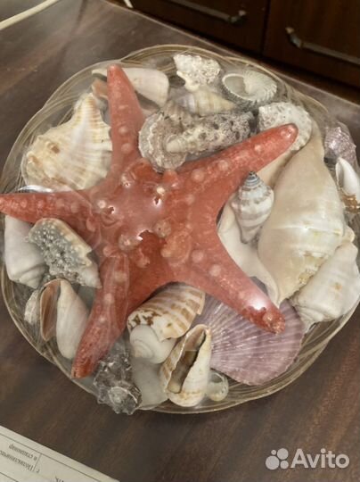 Ракушка сувенирная морская в корзинке