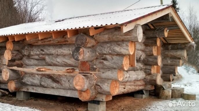 Строим из полярной сухостойной сосны