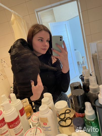 Кинологическая передержка