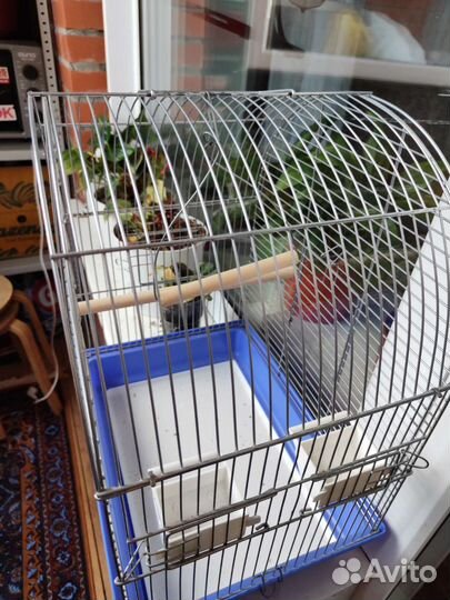Клетка для птиц