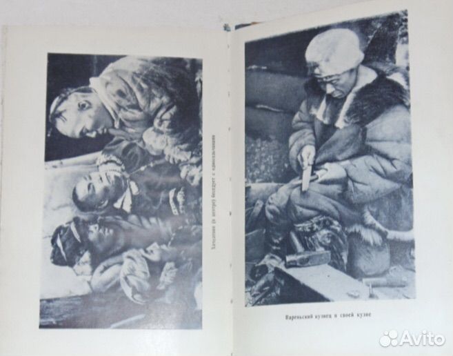 В краю огнедышащих гор - Камчатка Литвинов