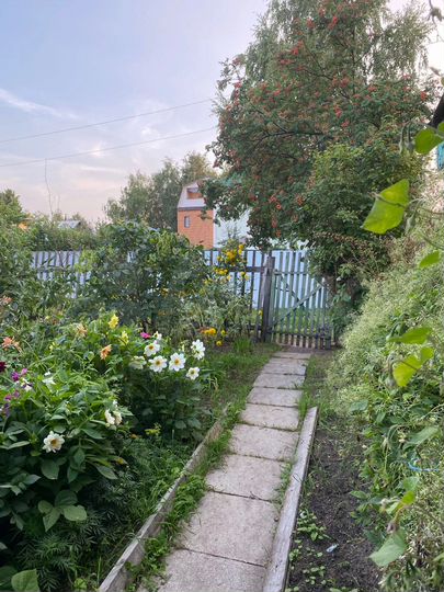 Участок 7,5 сот. (СНТ, ДНП)