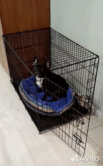Клетка для собак