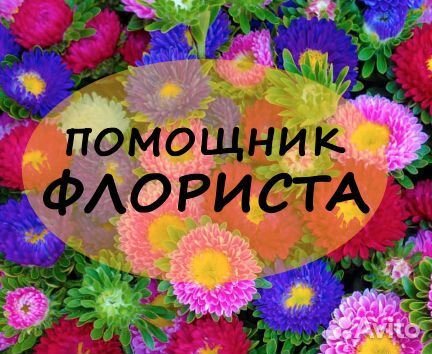 Помощник флориста