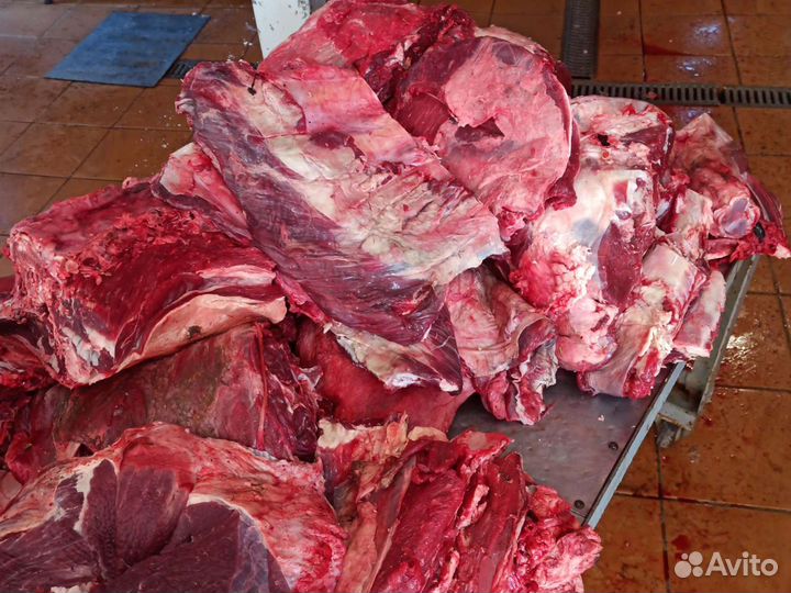 Мясо говядина для собак