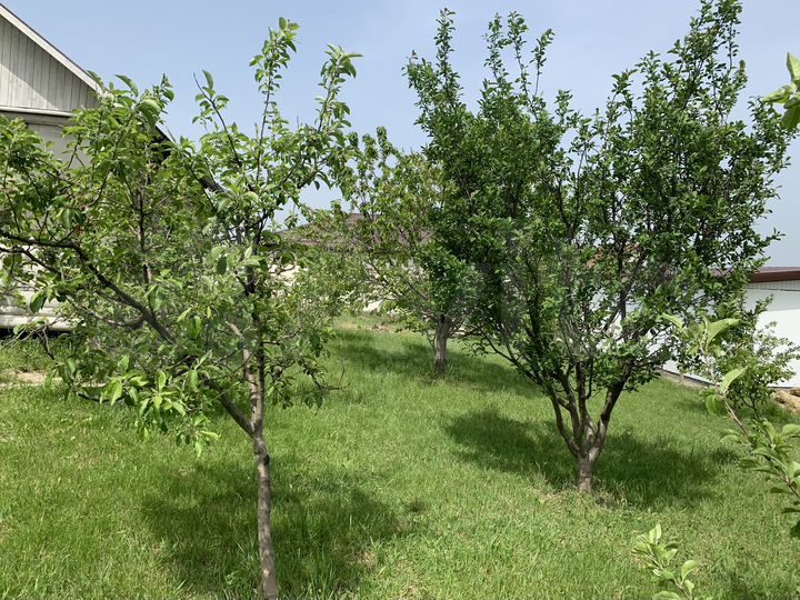 Дом 57,5 м² на участке 10 сот.