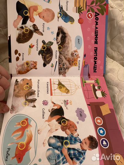 Говорящая книга животные