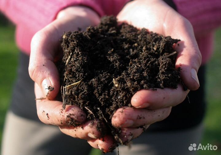 Чернозем рязанский