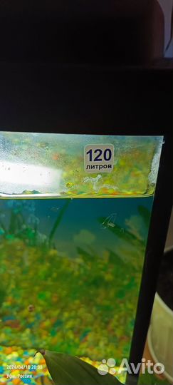 Аквариум с рыбками бу