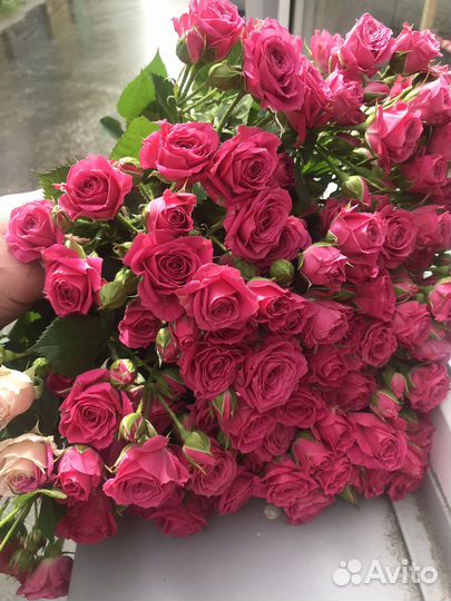 Яркие красивые кустовые розы