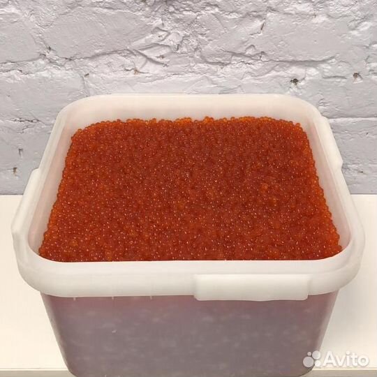 Икра красная оптом (2023 Камчатка)