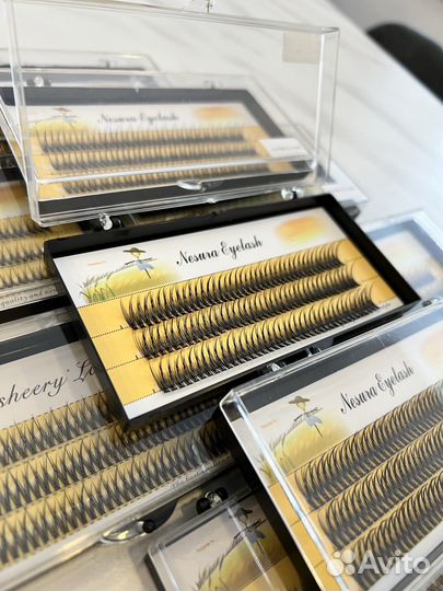 Закупка: накладные пучки ресниц Nesura