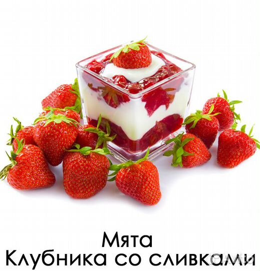 Мята с разными ароматами (43 сорта)