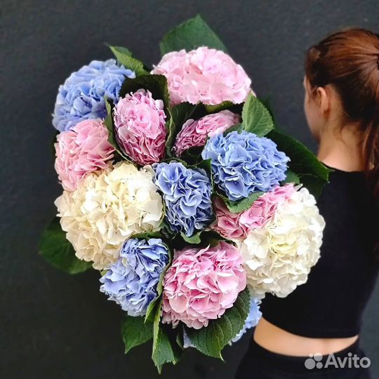 Гортензия. Микс Букеты. Свежая Гортензия