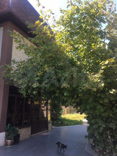 Дом 181 м² на участке 3 сот.