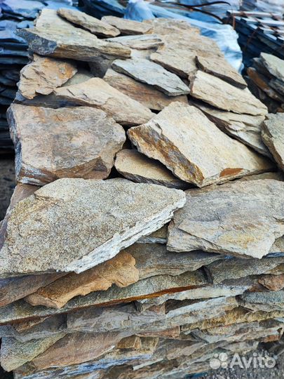 Золотая осень 500 р м2