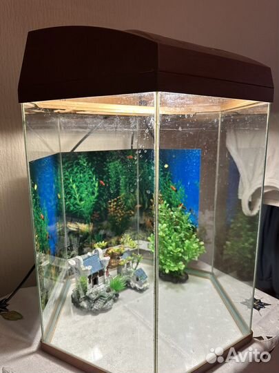 Аквариум