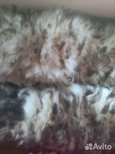 Шкурки натуральной овчины