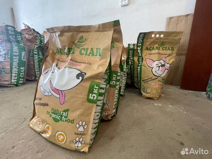 Acari Ciar Puppy