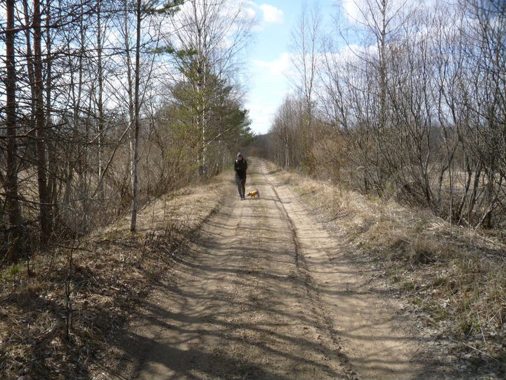 Участок 24,5 сот. (СНТ, ДНП)