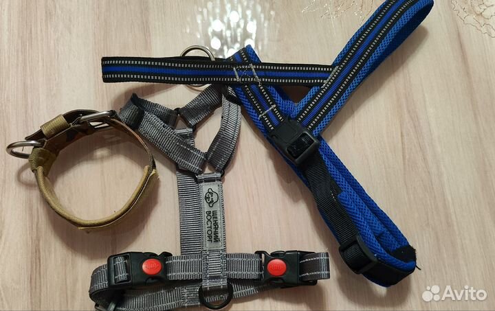 Амуниция для собак