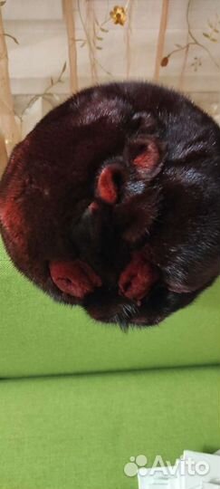 Берёт норковый женский