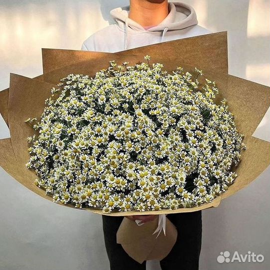 Букеты ромашек