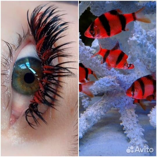 Наращивание ресниц