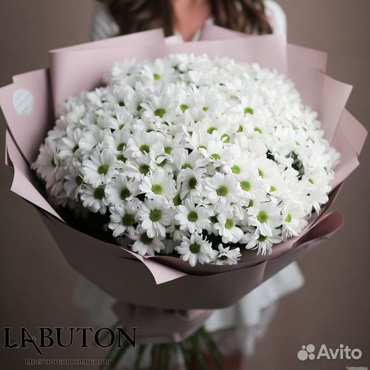 Хризантемы Букет Хризантем Цветы в Красноярске