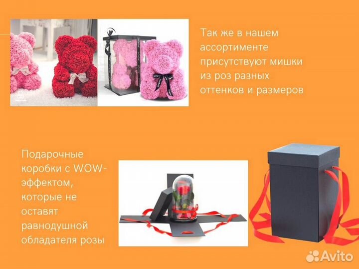 Роза в колбе. Новая