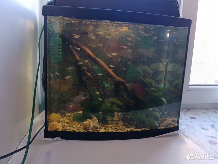 Аквариум, без содержимого
