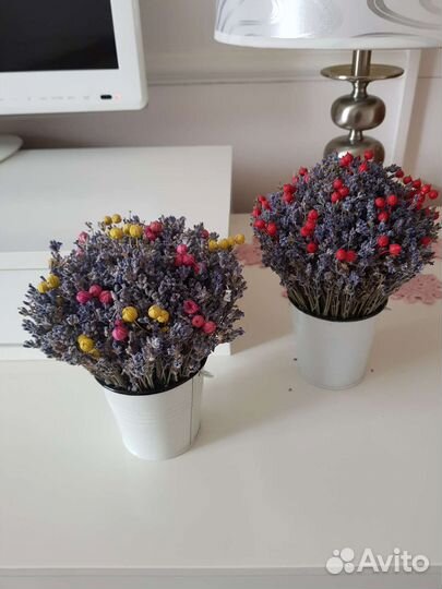 Лаванда, сухоцветы. Много