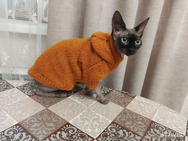 Одежда для собак и кошек