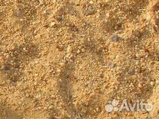 Пгс в день заказа