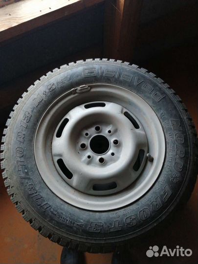 Gislaved Nord Frost III 175/70 R13